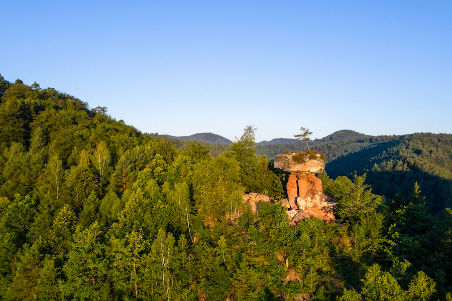 Sagenhaft schön – der Teufelstisch in Hinterweidenthal